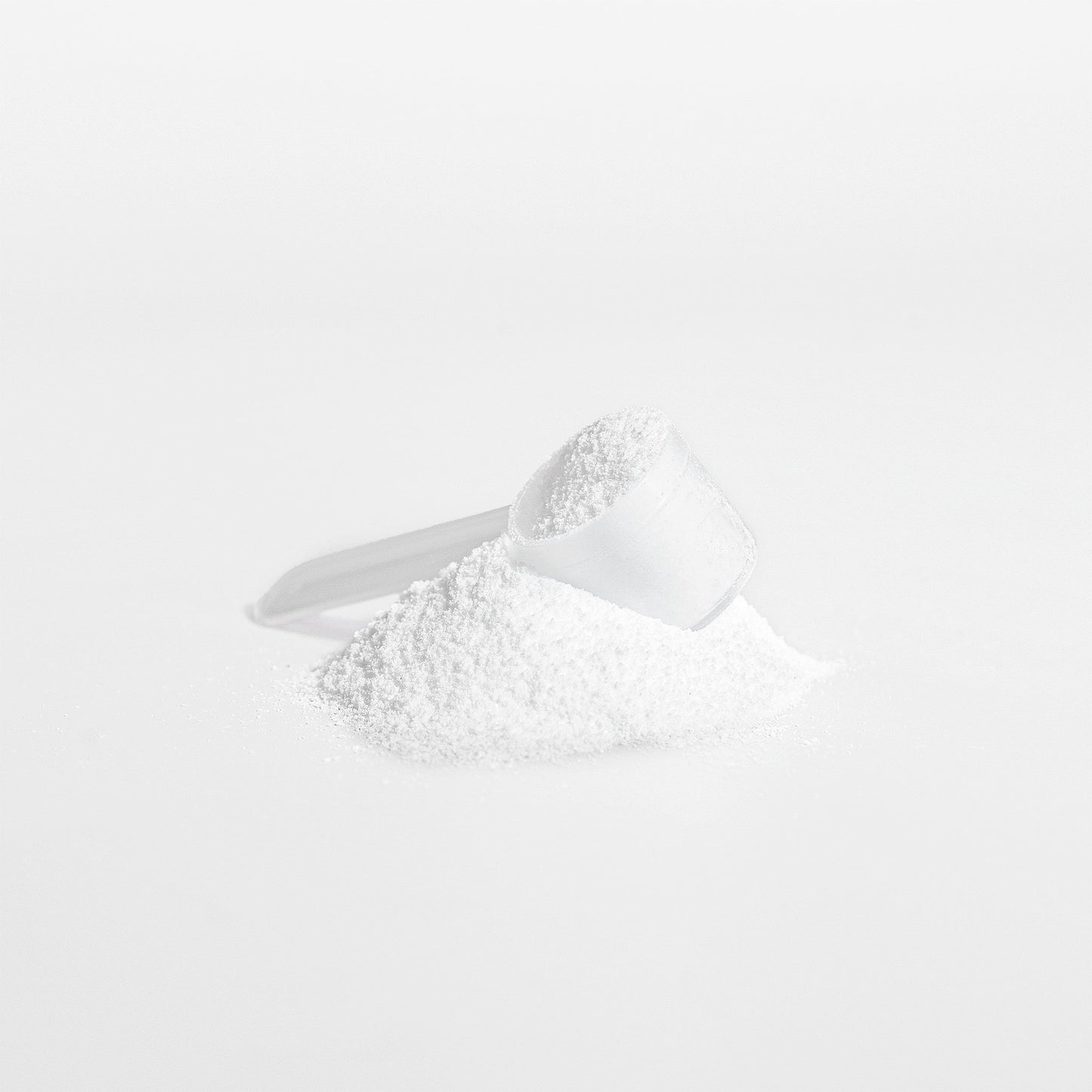 FOUNDATION™ - CREATINE MONOHYDRATE