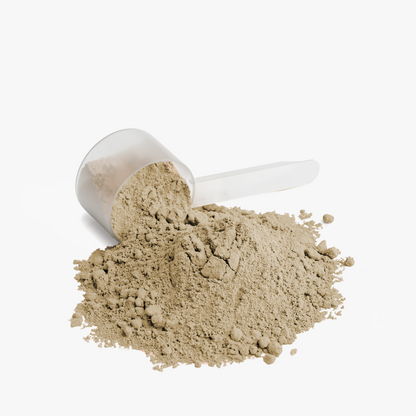 REBUILD™ Whey Protein Isolate (Station House Vanilla)